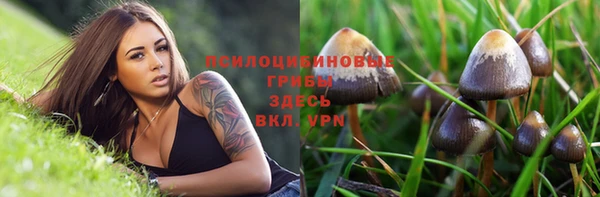 круглые Аркадак