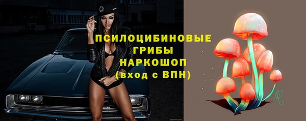 круглые Аркадак