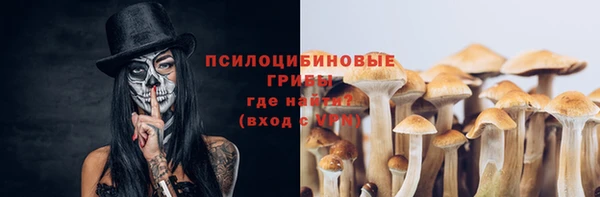 круглые Аркадак