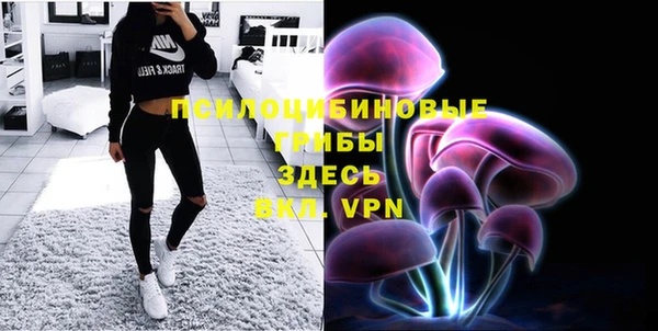 круглые Аркадак
